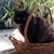 Glenda Elsberry Peck's profile image