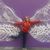 Sally Wing's profile image