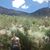 Tina Wilcox's profile image