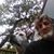 Ray Brooks's profile image