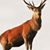 David H Gordon's profile image