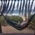 Emelia Janse van Rensburg's profile image