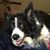 Roxie Schweter's profile image