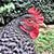 Joely Bridge's profile image