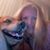 Debby Kloppenburg's profile image