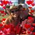 Heidi Cramer's profile image