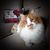Jessica Dickerson-Kowal's profile image