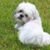 Cindy Berrington's profile image