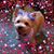 Tina Miller's profile image
