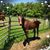 Christy Youngblood Brooks's profile image