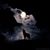 Ken Woodrum's profile image