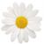 Rhea Ballas's profile image