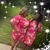 Antoinette Hodges's profile image