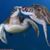 Holly Hetrick's profile image