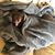 Darlene Bibb's profile image
