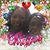 Linda Williams-Tucker's profile image