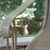 Sandy Freese's profile image