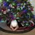Lisa Winstock Hoehn's profile image