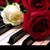 Laura Garcia's profile image