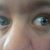 Timothy Lyons's profile image