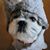 Tracy Boetel's profile image