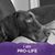 Robin Thompson Doles's profile image
