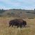 Lisa Jackson's profile image