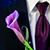 Craig Blakslee's profile image