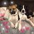 Bonnie Duncan Colman's profile image