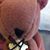 Nutz TheSquirrel Williamson's profile image