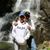 Lucy Holtrop's profile image