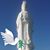 Thien Tuong Trinh's profile image