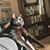 Amy Snyder's profile image