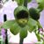 Cathy White's profile image