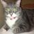 Alan Richard's profile image