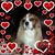 Angela Kozis Germano's profile image