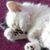 Rhonda Gobert's profile image
