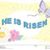 Dian Bennett's profile image