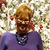 Stacey Phipps's profile image