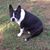 Suzette Whitaker's profile image