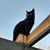 Jessica McTaggart Clark's profile image