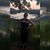 Keri Mathis's profile image