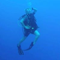 Shae O'Shaeffer's profile image