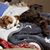 Sarah Kasey Saunders's profile image