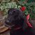 Nettie Buhr Wagner's profile image