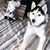 Ryland Stewart's profile image