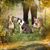 Rondell Tree Nolan's profile image