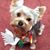 Mary McNutt's profile image