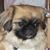 Roy Sherry Allums's profile image