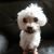 Raquel Chaple's profile image